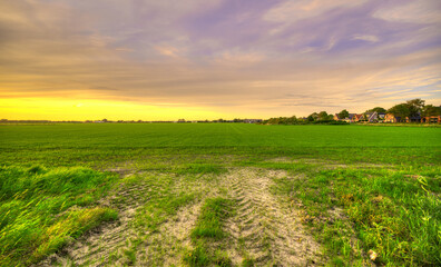 Sunset over the meadows in rural Holland.