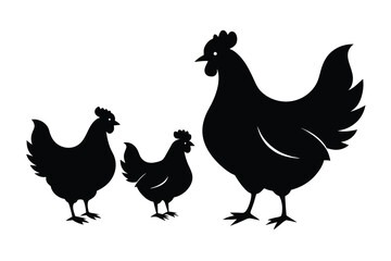 Set of chicken silhouettes on white background