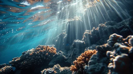 Fotobehang underwater scene with coral reef © Tejay