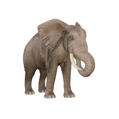 African elephant depicted in various poses and angles, pose #03. 3D model, PNG.