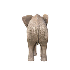 African elephant depicted in various poses and angles, pose #03. 3D model, PNG.