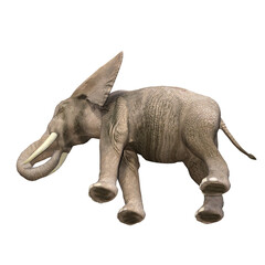 African elephant depicted in various poses and angles, pose #03. 3D model, PNG.