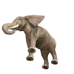 African elephant depicted in various poses and angles, pose #03. 3D model, PNG.