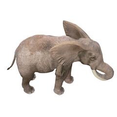 African elephant depicted in various poses and angles, pose #03. 3D model, PNG.