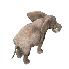 African elephant depicted in various poses and angles, pose #03. 3D model, PNG.