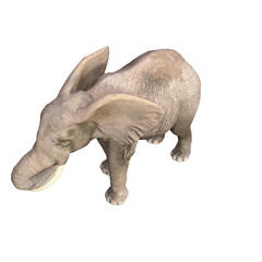 African elephant depicted in various poses and angles, pose #03. 3D model, PNG.