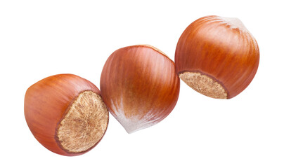 Delicious hazelnuts cut out