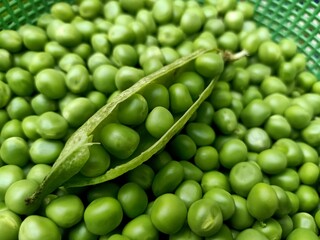 fresh peas