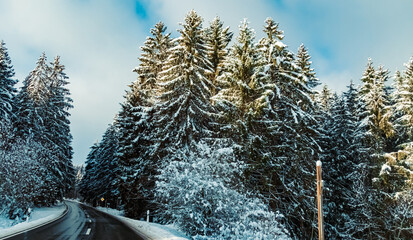 Winter wonderland view near Kirchberg im Wald, Bavarian forest, Bavaria, Germany