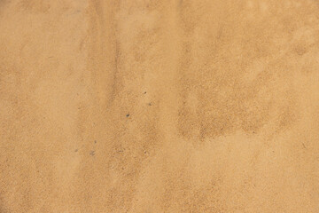 Yellow sand. Background of the bank on the river in Europe.