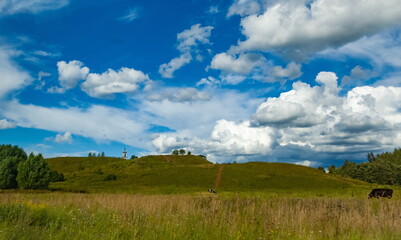 Summer landscape with grass, trees, cows and a church against a blue sky with white clouds