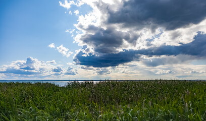 Summer landscape with a lake, grass on a background of blue sky with white clouds