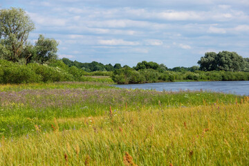 Fototapeta premium Summer river with bright blue sky and clouds