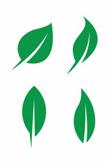 Leaf leaves clipart vector design 
