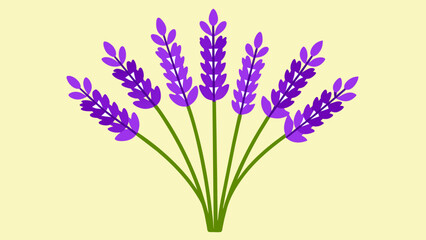 Captivating Lavender Flower Vector Art Elevate Your Designs with Stunning Floral Illustrations