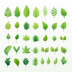 A collection of green leaf illustrations