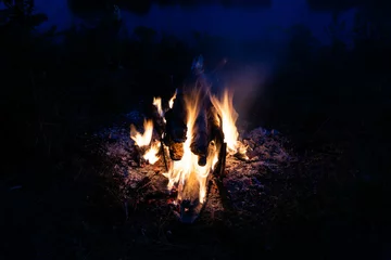 Foto auf Glas Bonfire, fire, smoke on a background of nature. © Iryna