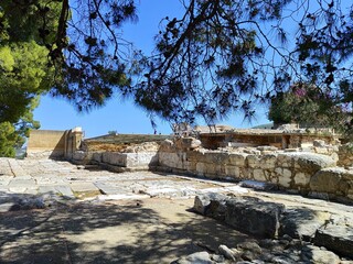 Fototapeta na wymiar Zum Glück etwas Schatten in Knossos.