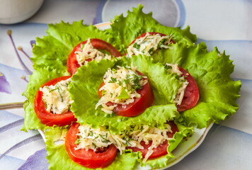 Tomato and grated cheese appetizer with garlic on Peking cabbage leaves close-up