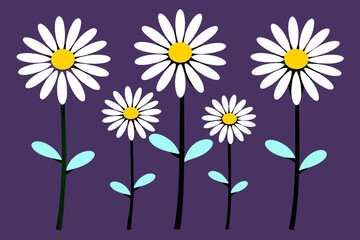 Daisy Illustration Icon 