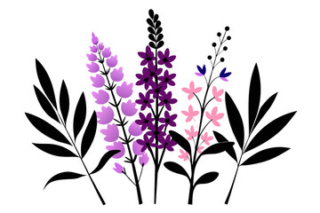 Fireweed wild multicolored flower white background