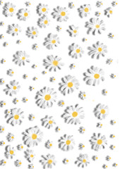 Painting of a field of white daisies in full bloom