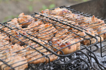 shish kebab chicken meat is cooked on the grill