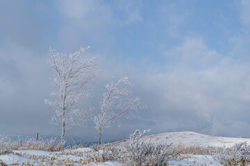 雪景色の高原　霧ヶ峰