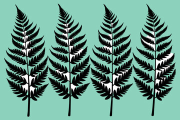 Maple Fern Vector color 