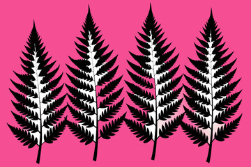 Fototapeta premium Maple Fern Vector color 