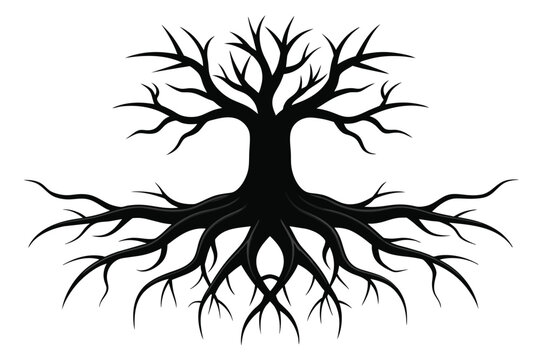 Set of black tree roots on white background