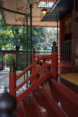 東京赤坂にある氷川神社の境内