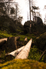 Fototapety na wymiar - Fototapeta24.pl