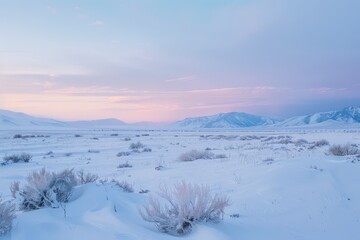 A wide-angle shot of a snow-covered landscape at dawn with pastel hues in the sky and snow-capped mountains in the distance