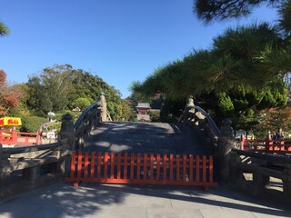 鎌倉の神社の参道