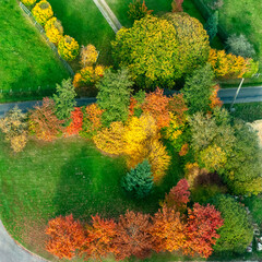 vue aérienne  de forêts à l'automne en France - 772123924