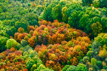 vue aérienne  de forêts à l'automne en France - 772123945