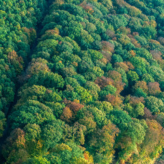 vue aérienne  de forêts à l'automne en France - 772123971