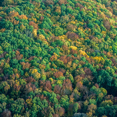 vue aérienne  de forêts à l'automne en France - 772123987