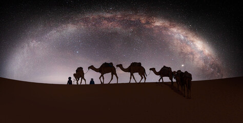 Camel caravan in the desert with milky way galaxy -  Sahara, Morrocco 