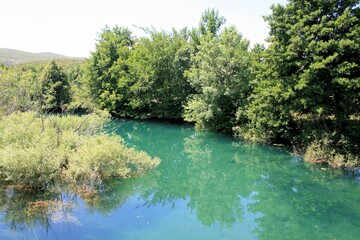The lovely Zrmanja river near Muscovici, Croatia