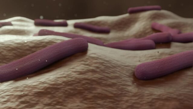 3d animation of Mycobacterium leprae, is a gram-positive bacteria that causes leprosy, also known as Hansen's disease