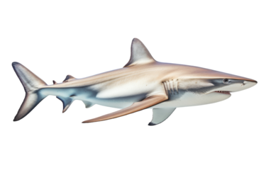 A large white shark gracefully propels itself into the air with powerful force
