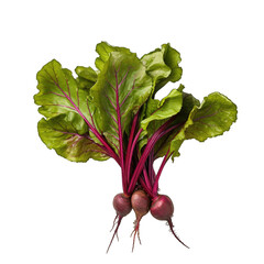 Beetroot with leaves