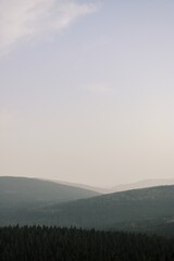 Obraz premium Processed with VSCO with g3 preset