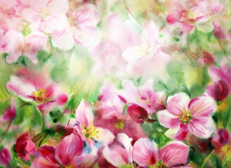 Blossoming spring  tree,  floral background. Watercolor illustration. - 772149538