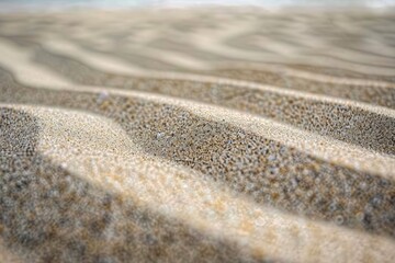Fototapeta na wymiar a sandy beach near the ocean