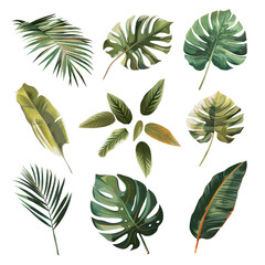 Fototapeta na wymiar Tropical leaves set on transparent background, artistic pattern