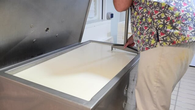 Artisan Cheesemaker Cutting Curdled Milk in a Stainless Steel Vat During Production Process