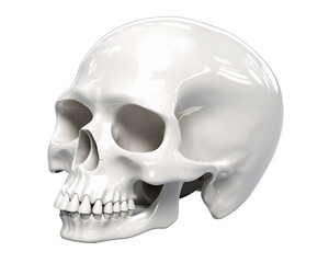 Obraz premium Skull, single object ,3D illustration isolated on white background , 3D, single object,isolated, white background